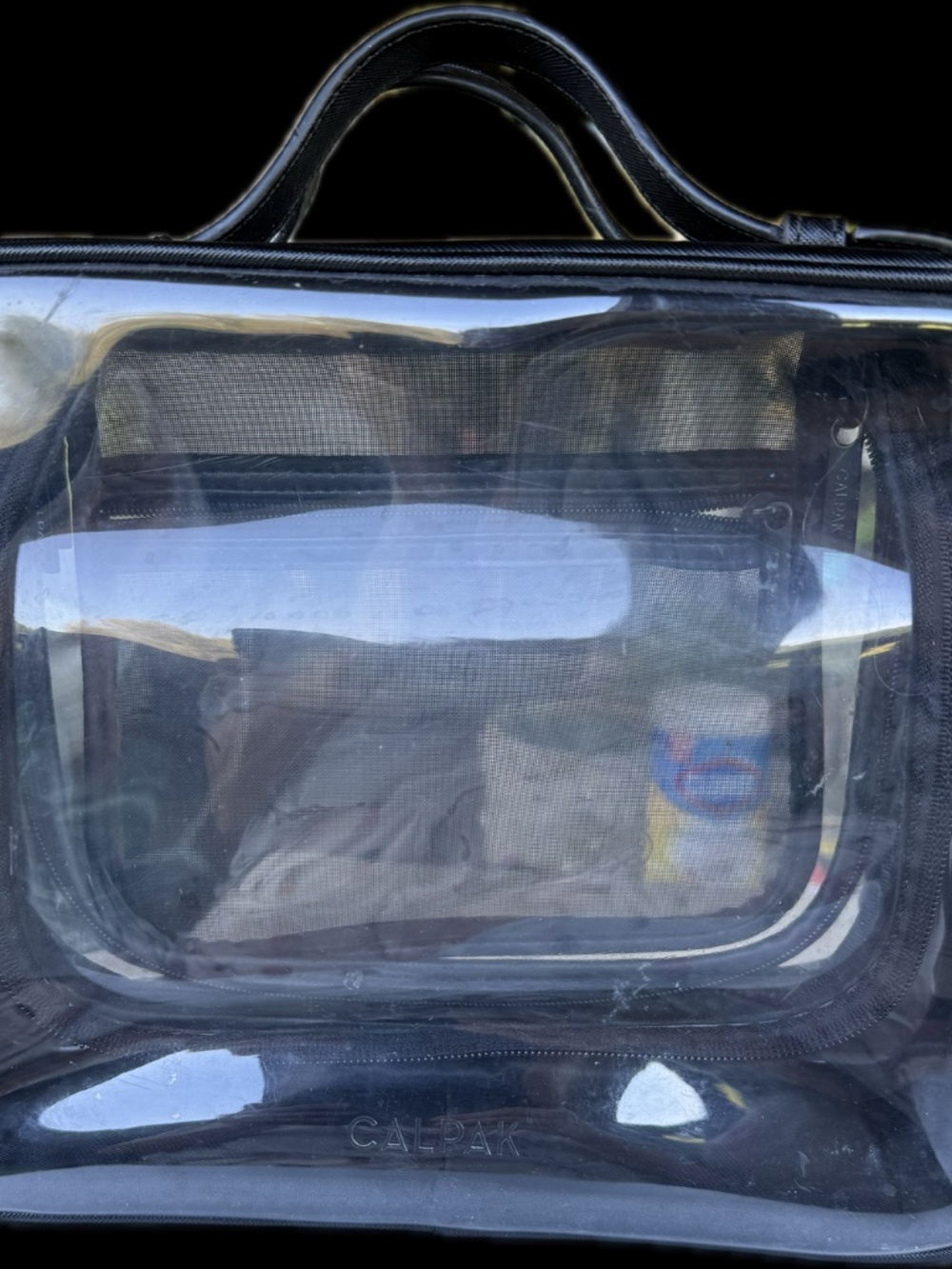 CALPAK Large Clear Cosmetics Case in Black - Picture 6 of 9